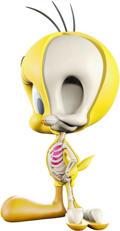 Tweety Bird Skeleton Reveal