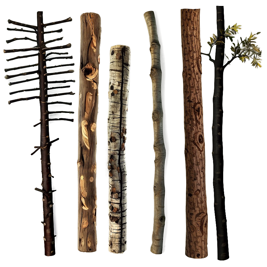 Twigs And Sticks Png Ojo