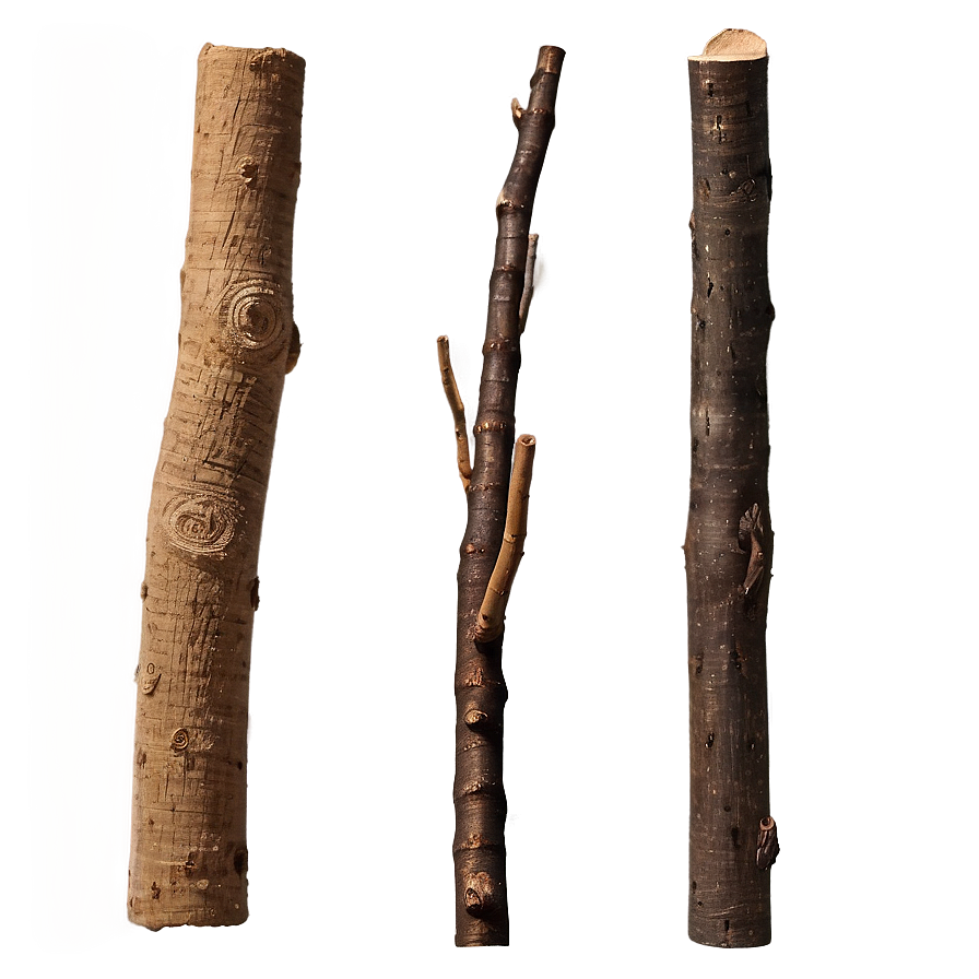 Twigs And Sticks Png Xbk