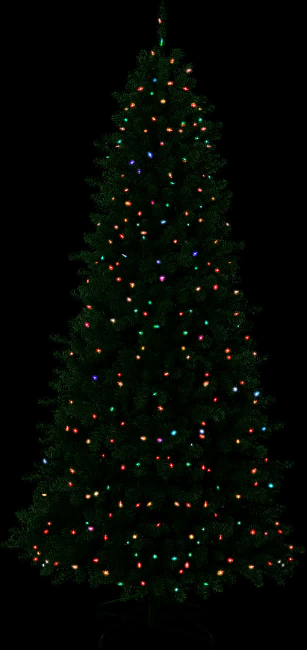 Twinkling Christmas Tree Lights