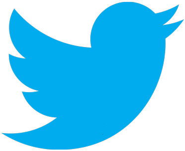 Twitter Bird Logo Blueon Grey