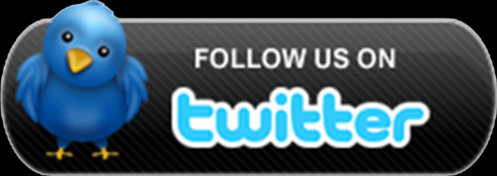 Twitter Follow Us Button