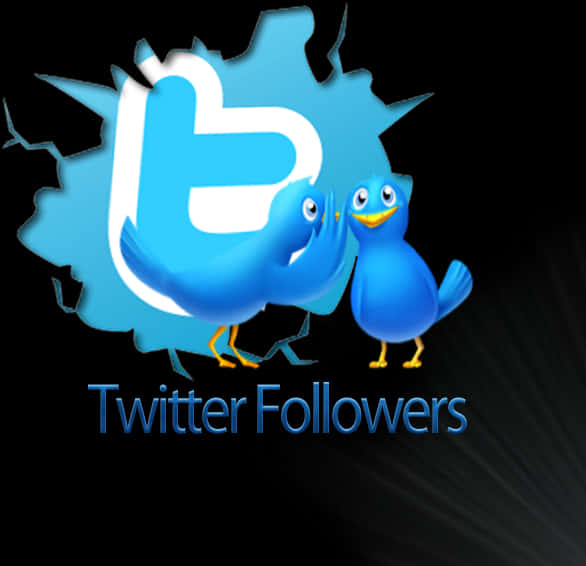 Twitter Followers Promotion Graphic