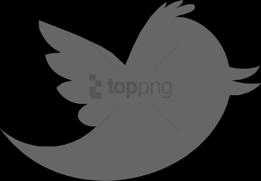 Twitter Logo Black Silhouette