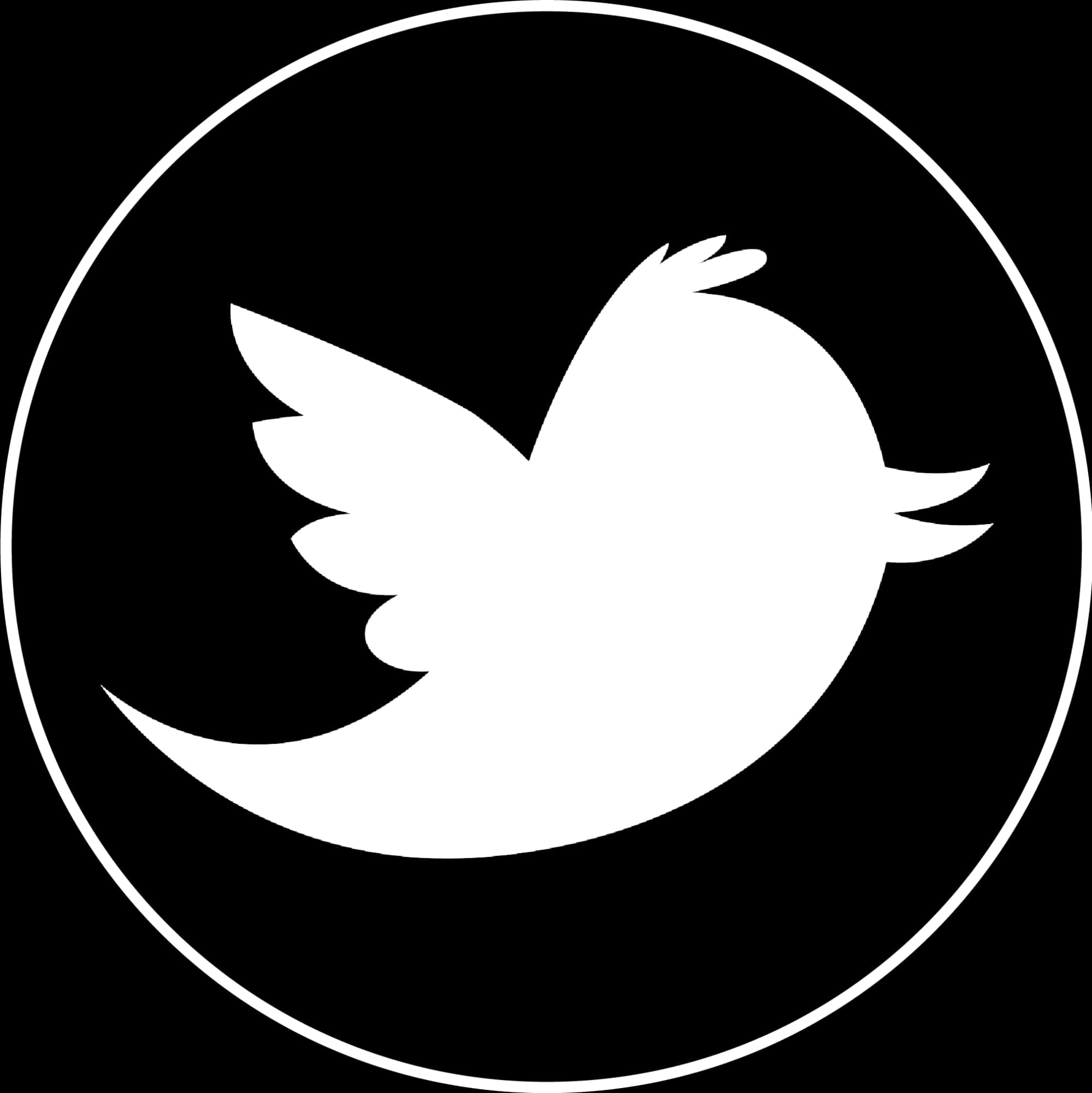 Twitter Logo Blackand White