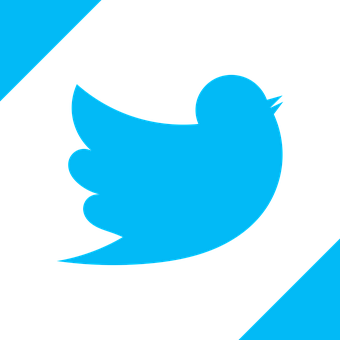 Twitter Logo Blue Background