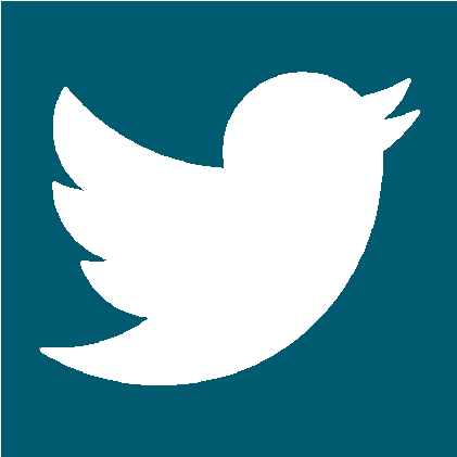 Twitter Logo Blue Background
