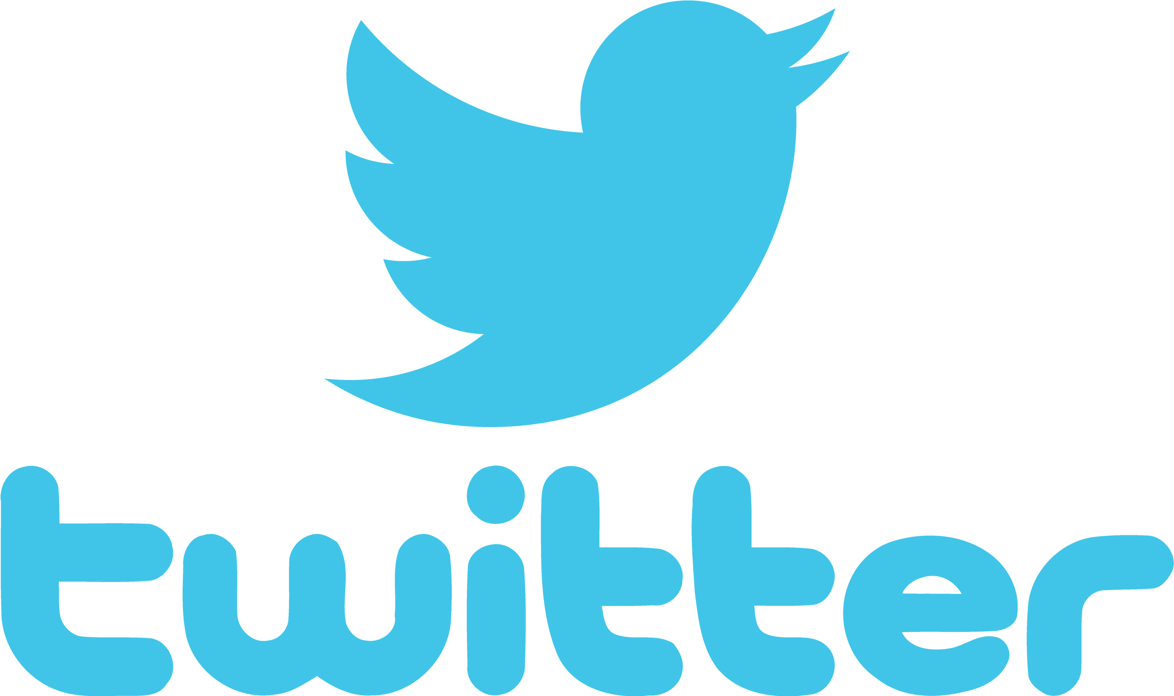 Twitter Logo Blue Bird