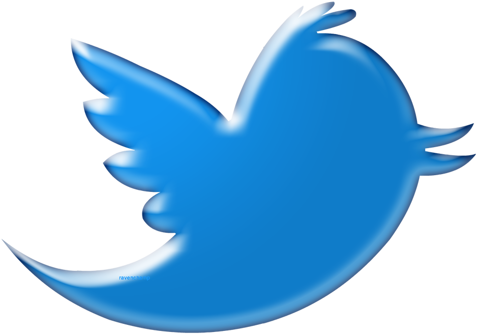 Twitter Logo Blue Bird