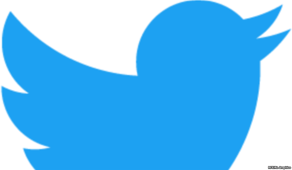 Twitter Logo Blue Bird Silhouette