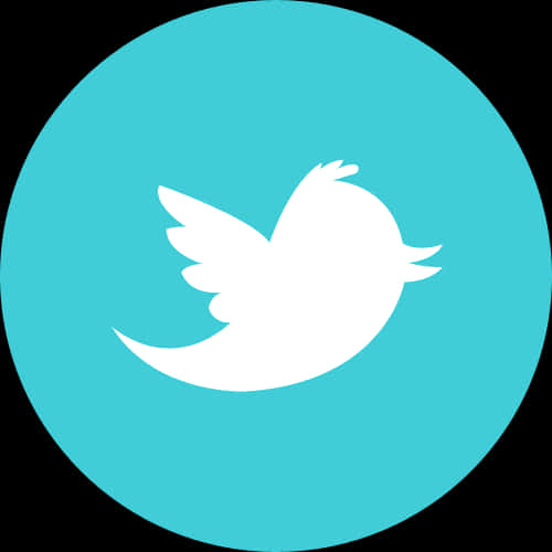 Twitter Logo Cyan Background