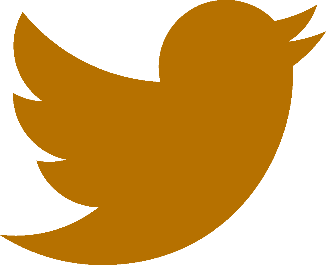 Twitter Logo Icon