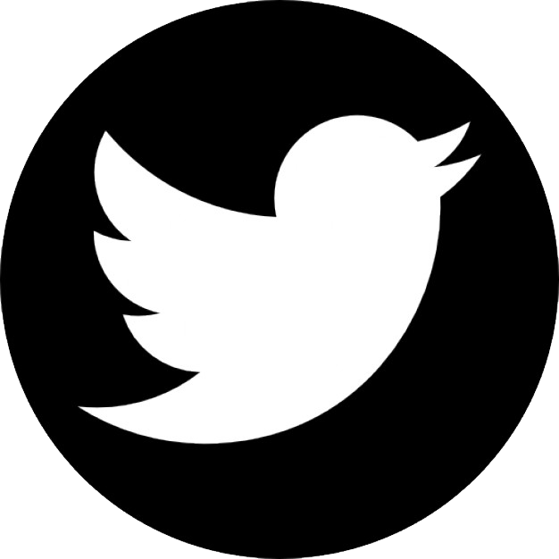 Twitter Logo Icon