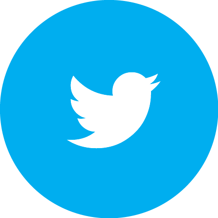 Twitter Logo Icon