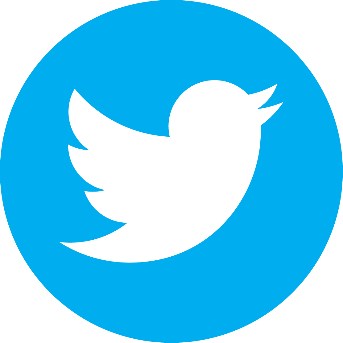 Twitter Logo Icon