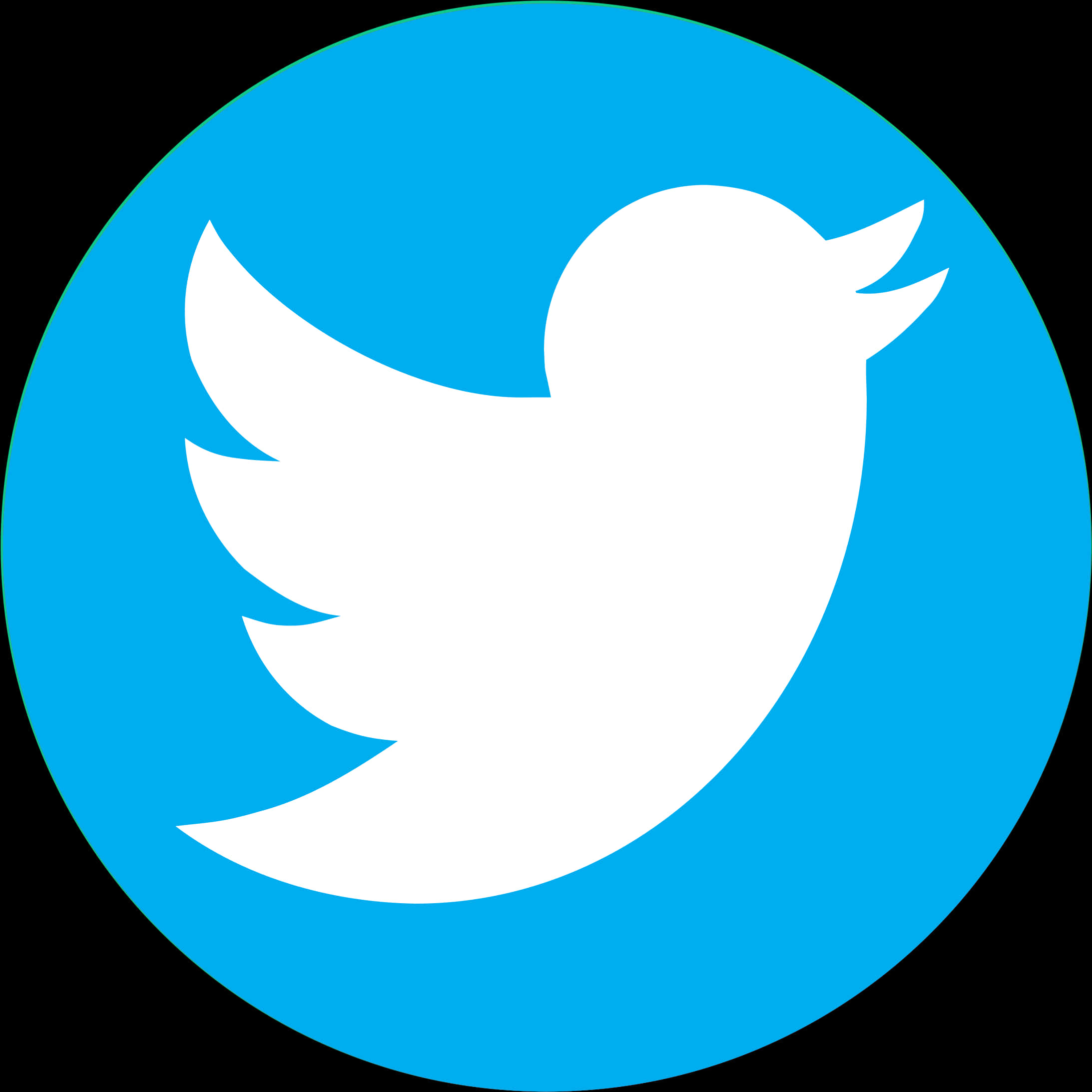 Twitter Logo Icon