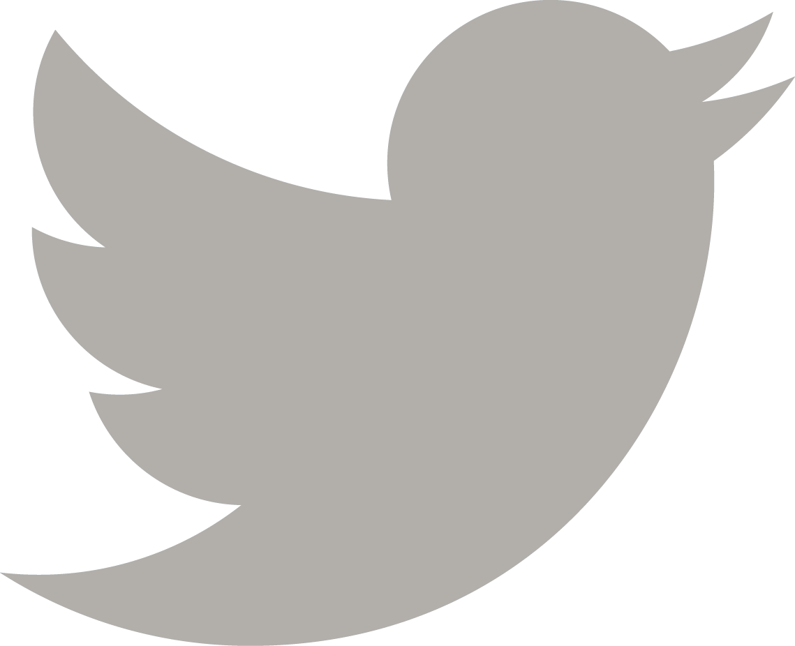 Twitter Logo Icon