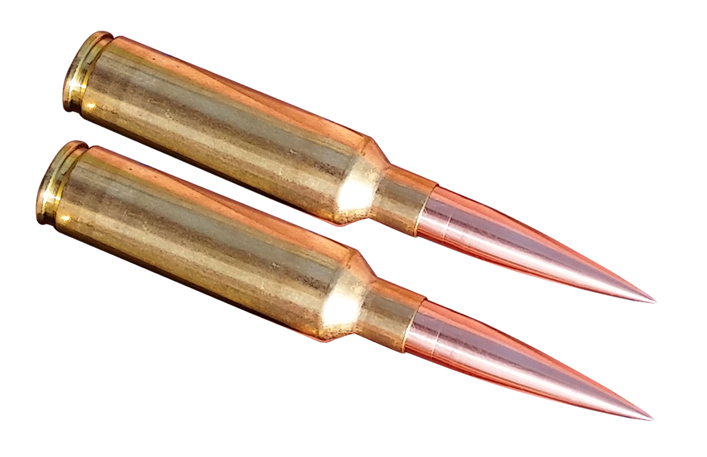 Two Ammunition Rounds