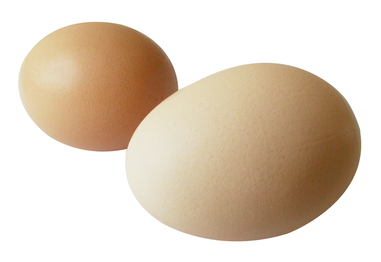 Two Brown Eggs Isolated