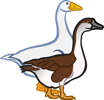 Two Cartoon Geese Illustration