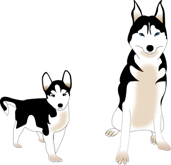 Two Cartoon Huskies Illustration