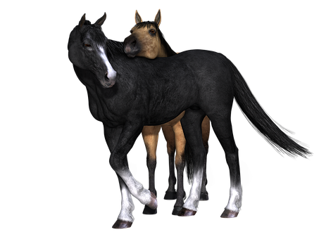 Two Horses Fused Together