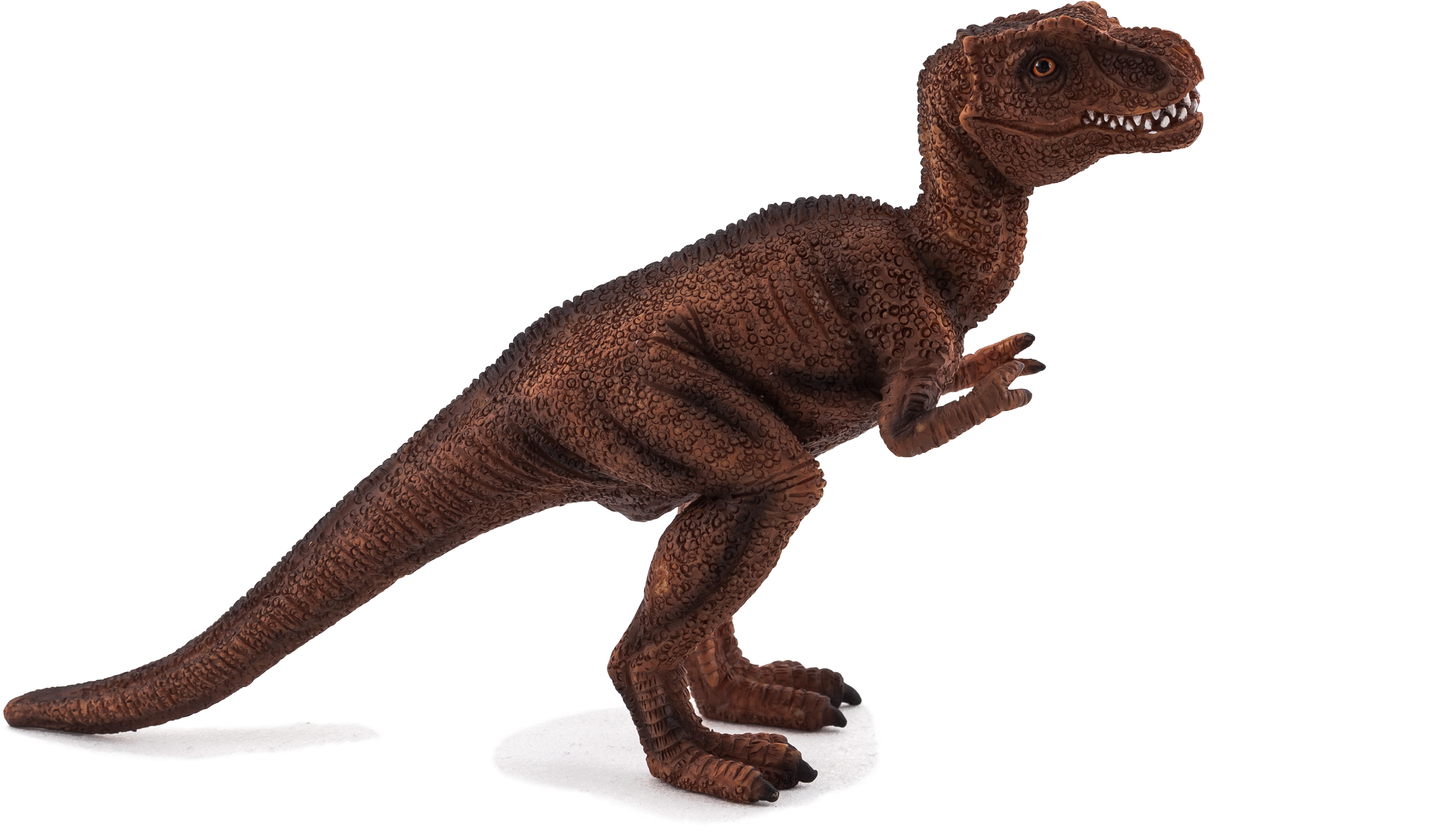 Tyrannosaurus Rex Model Pose