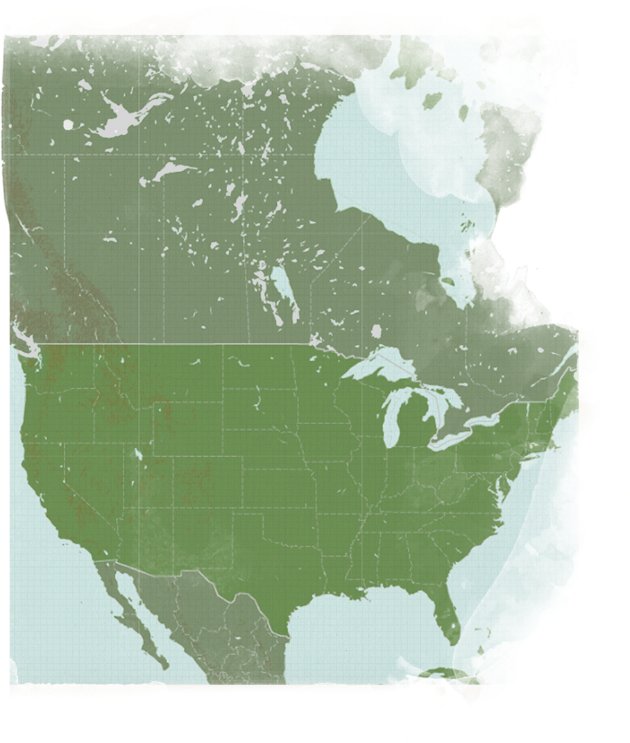 U S A Map Transparent Background