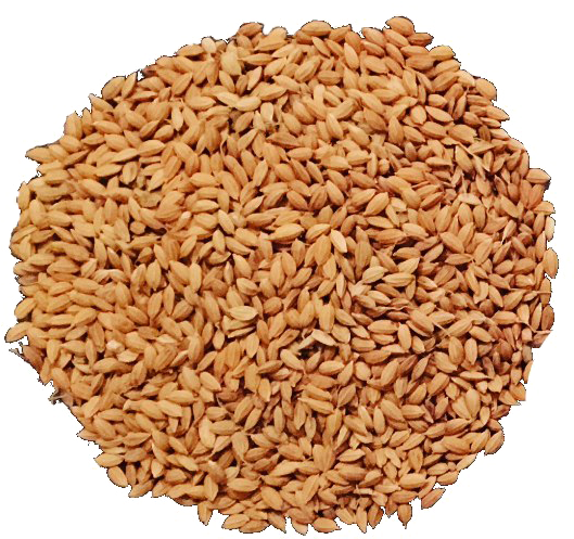 Uncooked Brown Rice Texture