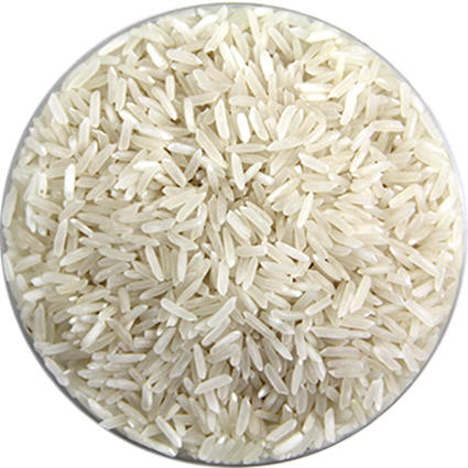 Uncooked White Rice Texture