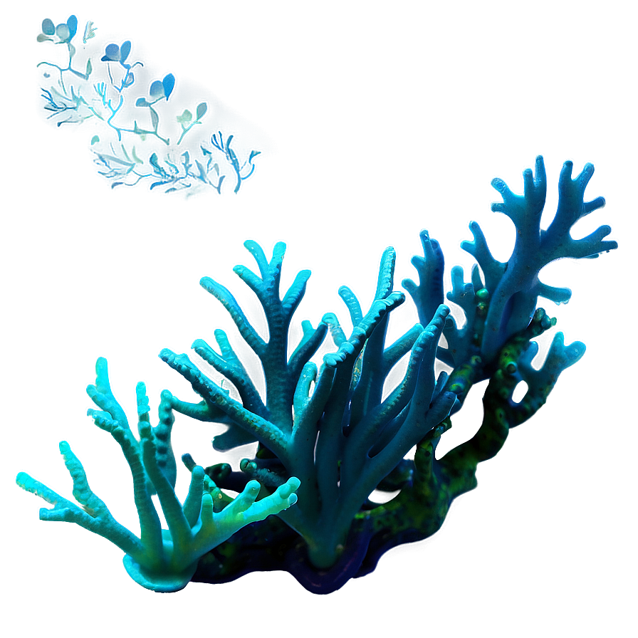 Underwater Coral Reef Png 55