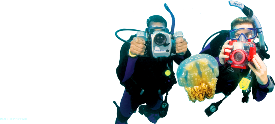 Underwater_ Photographers_ With_ Jellyfish.png