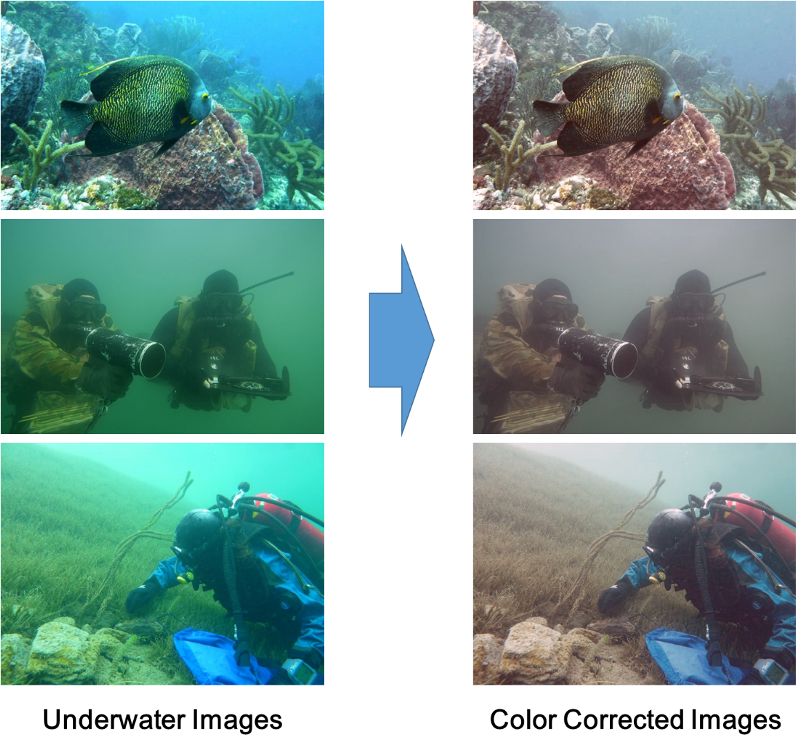Underwater Photography Before After Color Correction