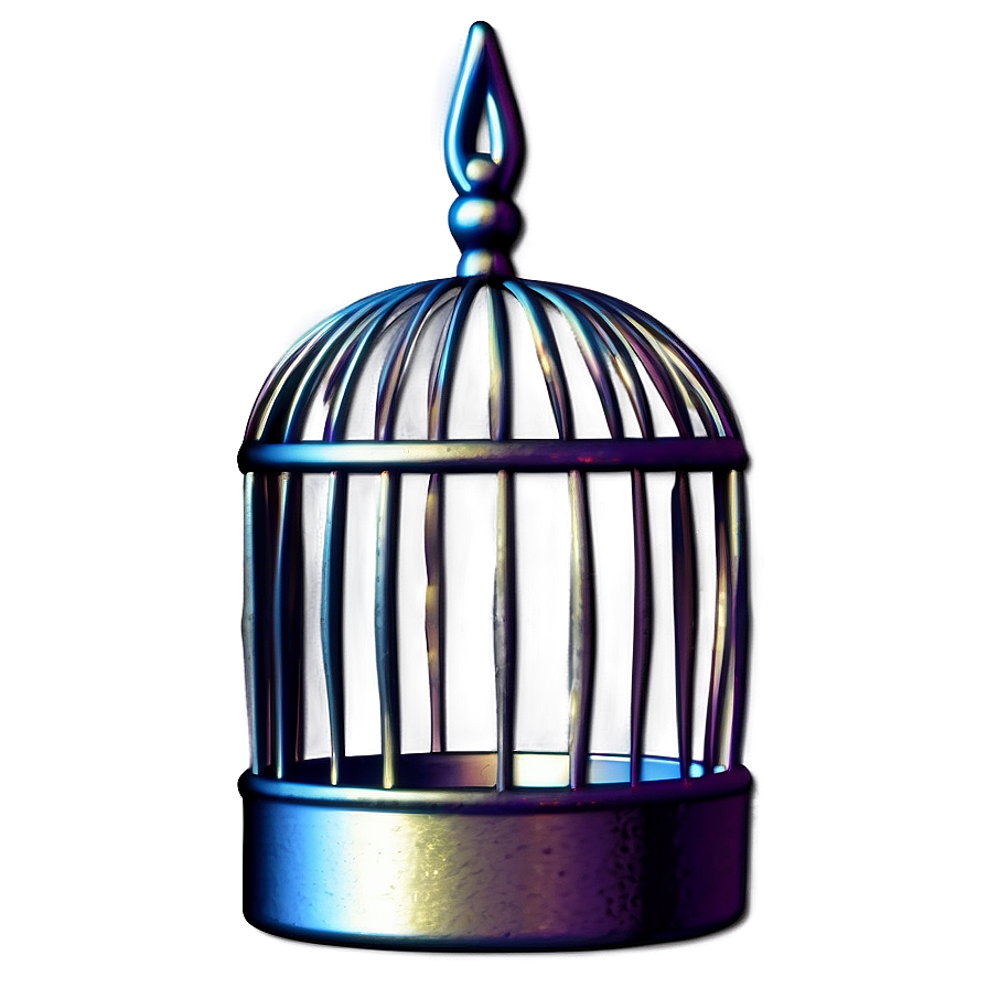 Unique Bird Cage Png 06122024