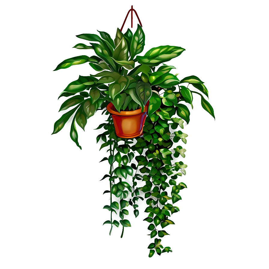 Unique Hanging Plant Png 05252024