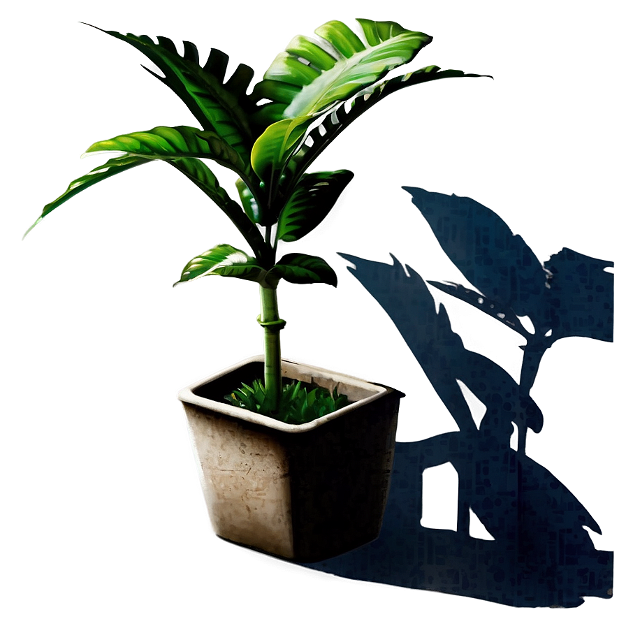 Urban Plant Shadow Png 31