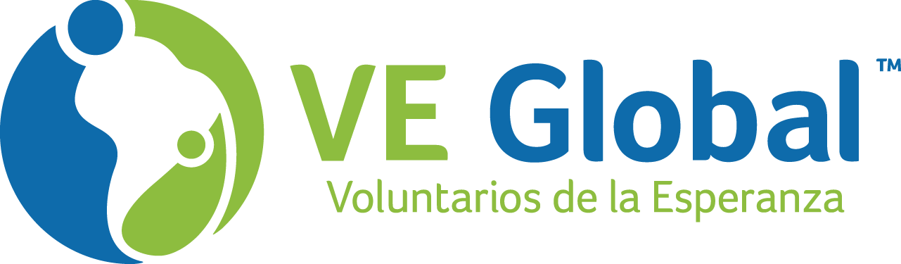 V E Global Logo