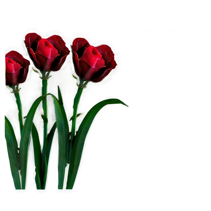 Valentine's Day Flowers Png 05242024