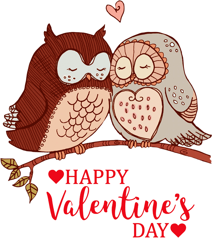 Valentines Day Owls Love Illustration