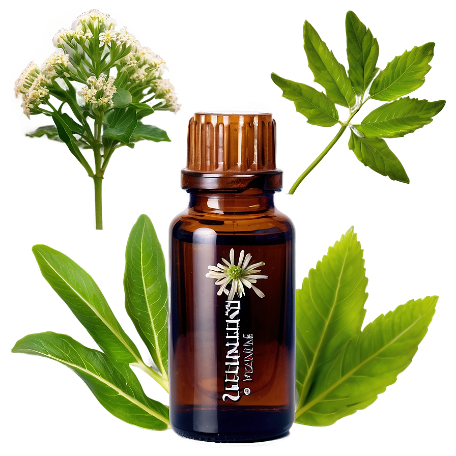 Valerian Essential Oil Png Dmn