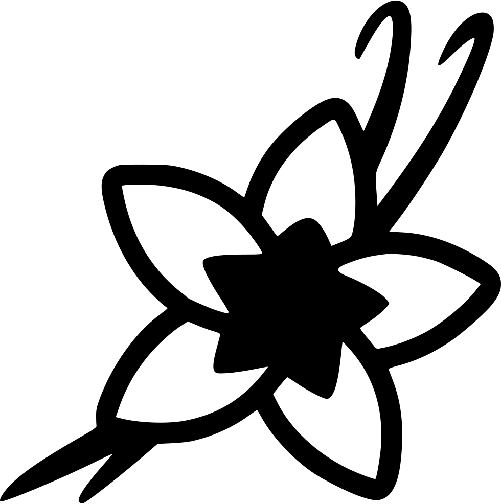 Vanilla Orchid Silhouette