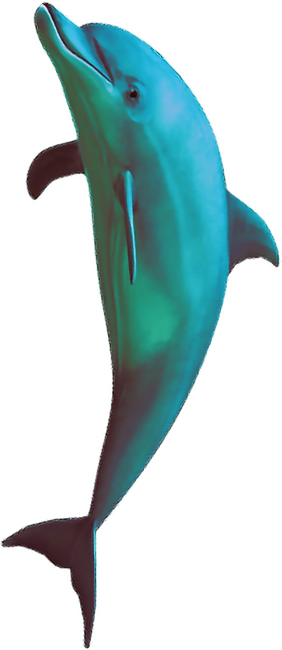 Vaporwave Dolphin Graphic