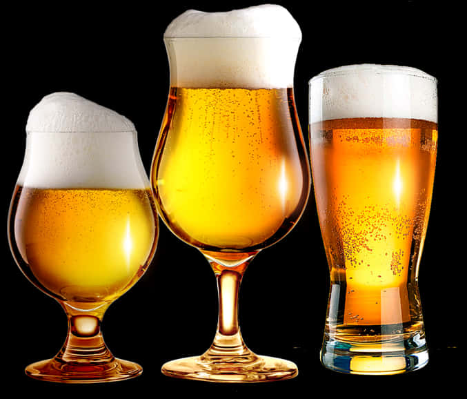 Varietyof Beer Glasses