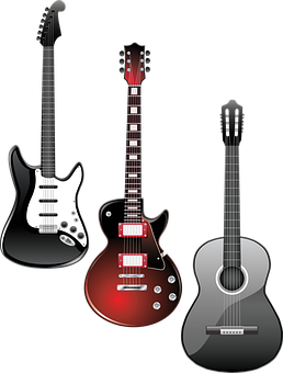 Varietyof Guitars Illustration