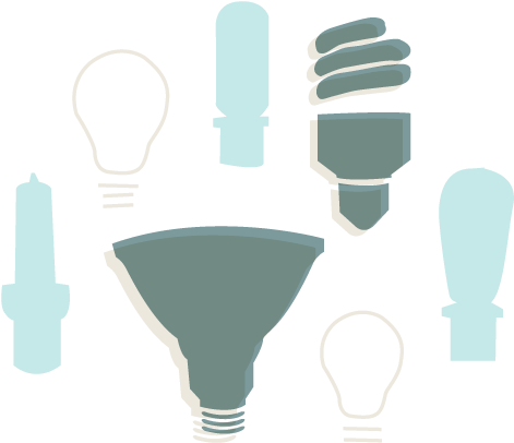 Varietyof Light Bulbs Graphic