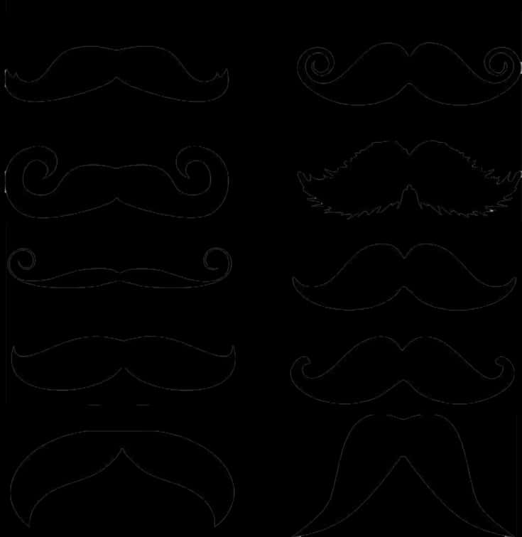 Varietyof Mustache Styles Illustration