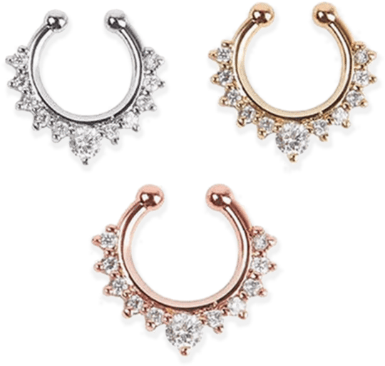 Varietyof Nose Rings Designs