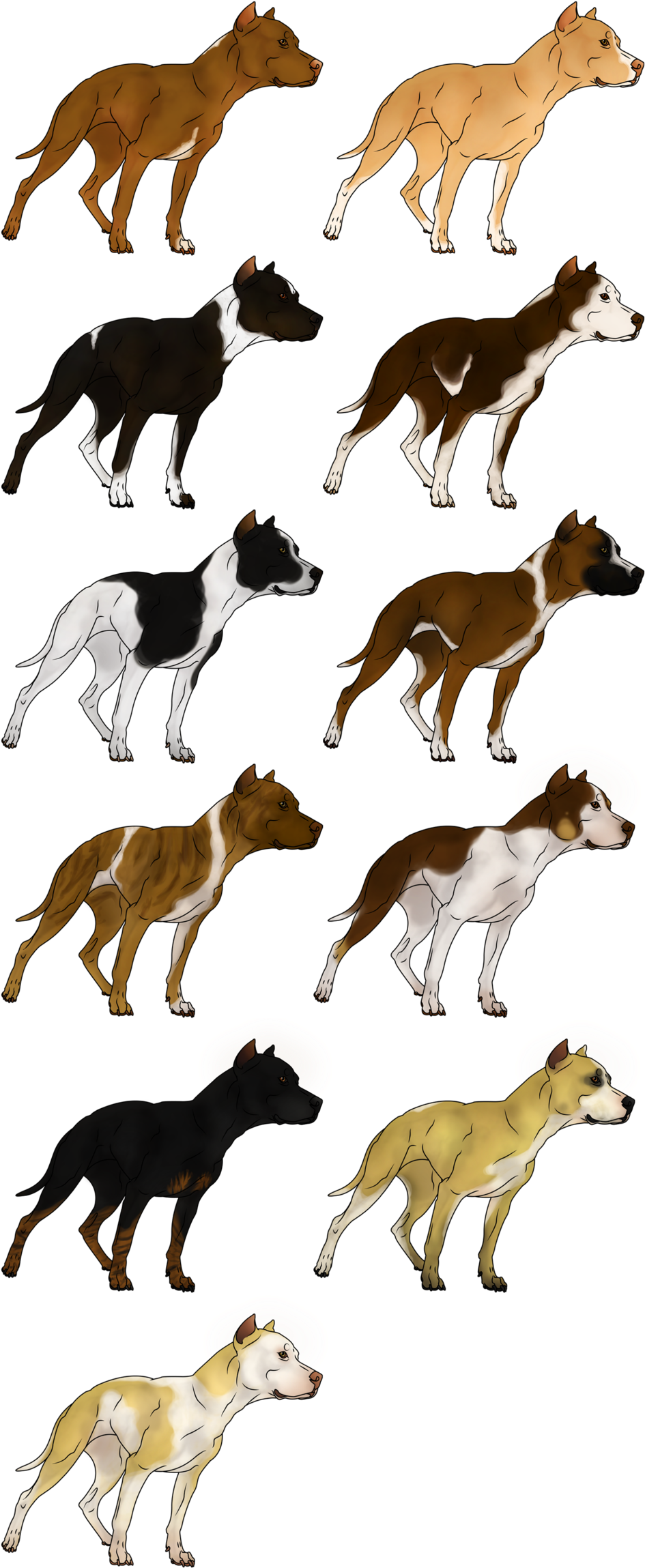 Varietyof Pitbull Breeds Illustration