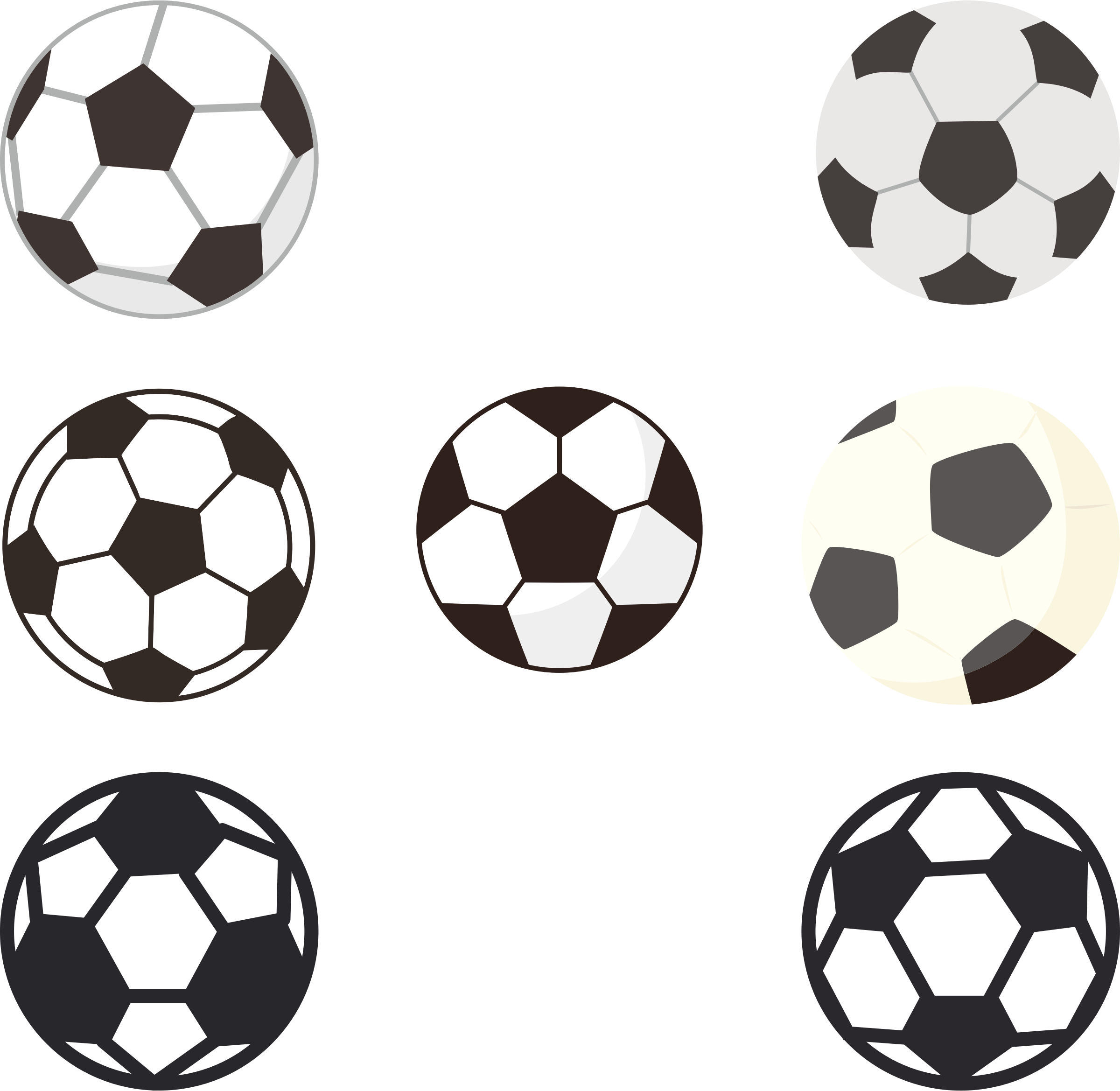 Varietyof Soccer Balls Illustration