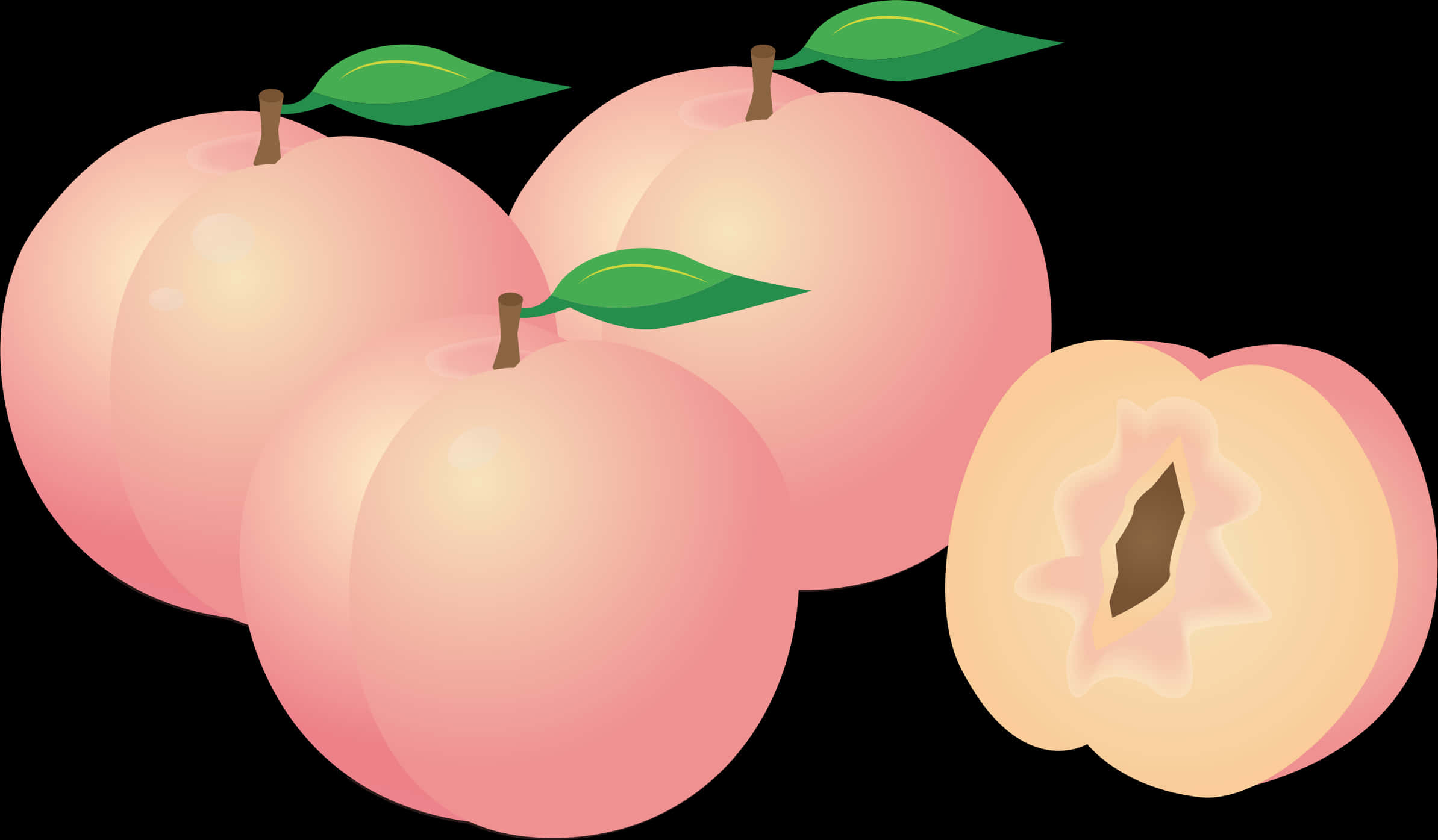 Vector Illustrationof Peaches